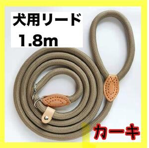 【本日限定価格】リード　犬用　トレーニング　ドッグリーシュ　訓練用　散歩　簡単　首輪　一体型　緑