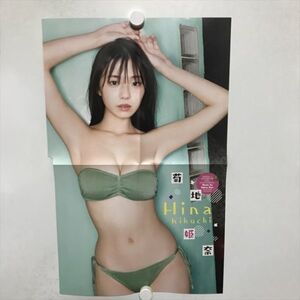 B18869 ◆菊池姫奈 約50cm×31cm ポスター ★5点以上同梱で送料無料★