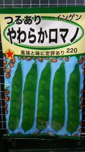 ３袋セット つるあり やわらか ロマノ インゲン 種 郵便は送料無料