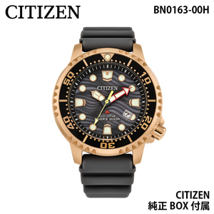 CITIZEN PROMASTER エコドライブ ECO-DRIVE ソーラー DIVER 200M プロマスター ダイバー グレー BN0163-00H