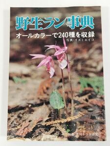 413-A15/野生ラン事典 オールカラーで240種を収録/イズミエイコ/月刊さつき研究社/昭和57年