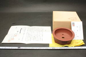 40831 明治26年創業 10cm 瑞宝章授与 渡辺敬深 萬留平 有趣陶苑 外縁円下帯雲足 栞 共箱 水仙 釘彫 朱泥 盆栽鉢 観賞鉢 豆鉢