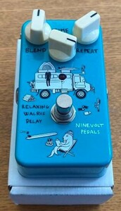 Animals Pedal Relaxing Walrus Delay