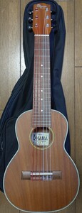 Ohana Ukuleles TKG-20, Micro Guitar