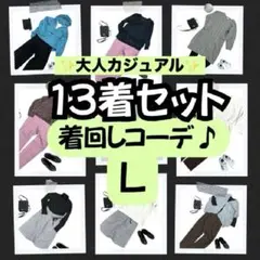 ✨ 着回しコーデ 13着セット ✨ アメリカンホリック 等 パーカー 他 L