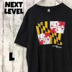 NEXT LEVEL アメリカ古着 ビッグ ブラック Tシャツ L メンズ