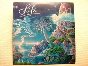 ＊【LP】GEORGE TERRY & KITTY WOODSON)／LIFE（6E-339-A）（輸入盤）