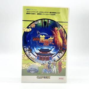 【未開封/非売品】 当時物 VHS よみがえる藤原景 ストリートファイターII