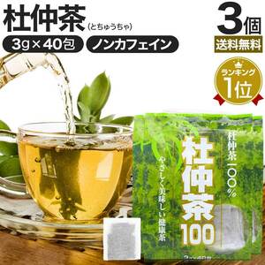 杜仲茶 とちゅう茶 茶葉 ティーパック ティーバッグ ダイエット ダイエット食品 3g*40包*3個セット 送料無料 宅配便