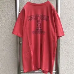 USA製 Healthknit ヘルスニット Tシャツ 80s カレッジプリント