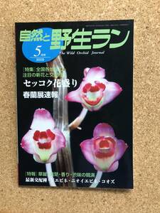 自然と野生ラン 2009年4月号　※ セッコク 春蘭 エビネ ※ 園芸JAPAN