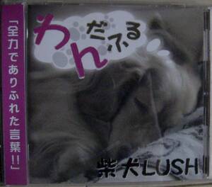 【CD】柴犬LUSH / わんだふる