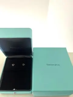 Tiffany&Co.ピアス