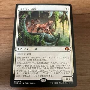 MTG MH3 オセロットの群れ 日本語