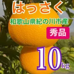 八朔(秀品)箱込み10kg弱