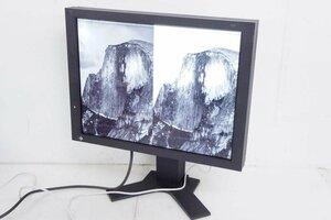 EIZO エイゾー 20.8インチ液晶モニター RadiForce GS310 使用時間4455H