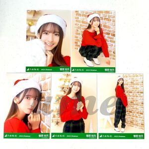 《乃木坂46》公式グッズ 生写真 菅原咲月 5枚 5種 2022年12月 5枚セット クリスマス2022 Christmas サンタ　ヨリチュウヒキ座り ぬいぐるみ