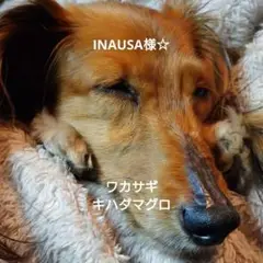 INAUSA様☆