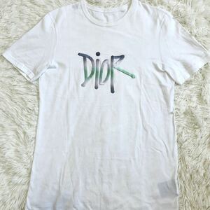 ディオールオム ステューシー 【希少コラボ】 Dior Homme stussy 半袖 tシャツ カットソー トップス ビックロゴ メンズ 白 サイズXS