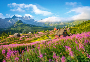 1045125 1000ピース ジグソーパズル ポーランド発売●CA●HALA GASIENICOWA, TATRAS, POLAND タトラ山脈 ポーランド