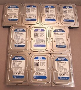 NoT770☆WD WesternDigital WD2500AAKX 3.5インチHDD 10台セット！ 250GB/7200RPM/完全消去確認済み/業者様向け/ジャンク品扱い☆