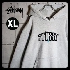 STUSSY　刺繍 センターロゴ　スウェット パーカー　プルオーバー　即完XL