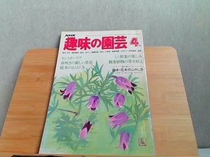 NHK　趣味の園芸　昭和54年4月　ヤケシミ有 1979年4月1日 発行