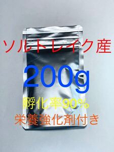 【コスパ抜群】送料無料　ソルトレイク産　高品質ブラインシュリンプ　200g 栄養強化剤サンプル付き