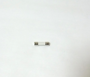 セラミック管ヒューズφ5mm×20mm 250V 10A 5個セット（スローブロー、新品）