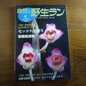 ＹＮ1-240910☆自然と野生ラン ◆ 2009年5月号　セッコク　春蘭　エビネ　富貴蘭