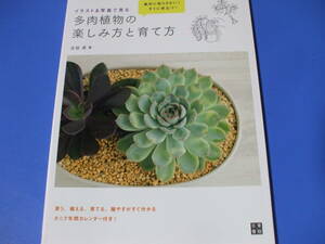 ★多肉植物の楽しみ方と育て方★