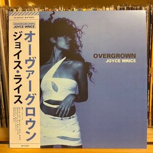 帯付き　限定盤　Joyce Wrice Overgrown アナログ盤 新品 R&B LP アルバム ジョイス　ライス