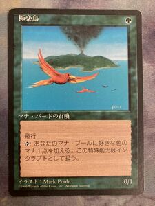 4th 極楽鳥　日黒枠1枚　MTG