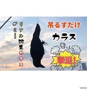 カラスよけ カラス撃退 小振りサイズ 本物そっくり リアル 羽毛 カラス 簡単設置 鳴き声 フン害 被害 対策 ゴミ置き場 ベランダ 畑 倉庫