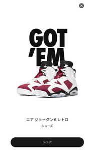 NIKE AIR JORDAN 6 RETRO CARMINE US9.5/27.5cm 21/2/13発売 SNKRS購入 国内正規 新品 黒タグ付 ナイキ エアジョーダン レトロ カーマイン