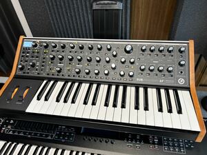 MOOG Subsequent 37【新品同様】