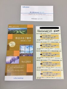 西武ホールディングス 株主優待券 冊子 電車・バス乗車証10枚 ライオンズ内野指定席引換券2025他 2025年5月31日まで 未使用 2412LM019