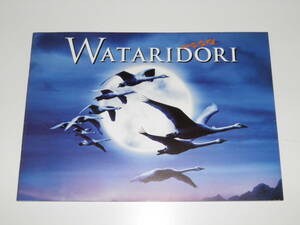 映画パンフレット　WATARIDORI 渡り鳥　