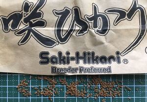 咲ひかり育成沈下SSS1.3㎜粒(500グラム)(金魚 らんちゅう 錦鯉 川魚 タナゴ どじょう 熱帯魚 海水魚)キョーリン ひかり菌入り餌(送料無料)