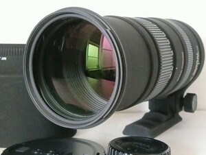 ★実用品★ SIGMA 150-500mm F5-6.3 APO DG OS HSM CANON #350