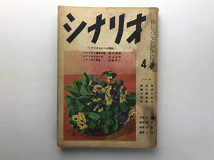 シナリオ 昭和28/4 花の講道館 新書太閤記 シナリオ作家協会