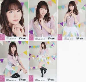 AKB48 柏木由紀 netshop限定 2017.05 個別 生写真 5種コンプ カラフルレザー衣装