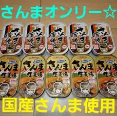 国産さんま使用☆ さんま蒲焼 さんま生姜焼 缶詰 セット