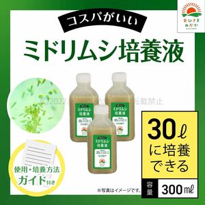 【ミドリムシ培養液　300ml　30L培養分　送料無料】メダカ めだか 金魚 ミジンコ　ゾウリムシ　クロレラ　 針子　PSB ミドリムシ培養に