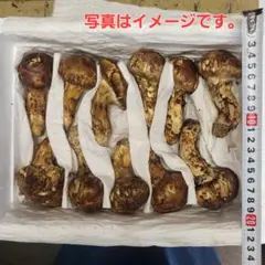 ２２本入り❗900g～1kg入り 天然 松茸 まつたけ 中国産