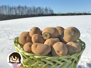 インカのめざめ　5Ｋｇ4個組　5800円　送料込み　