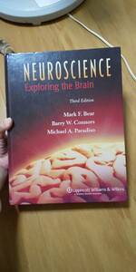 古本 NEUROSCIENCE Exploring the Brain