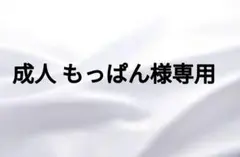 成人 もっぱん様専用ネイルチップオーダー