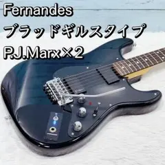 Fernandes/ブラッドギルスタイプ ピックアップP.J.Marx×2