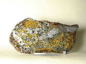 隕石　限定　レア　入手困難　セイムチャン隕石